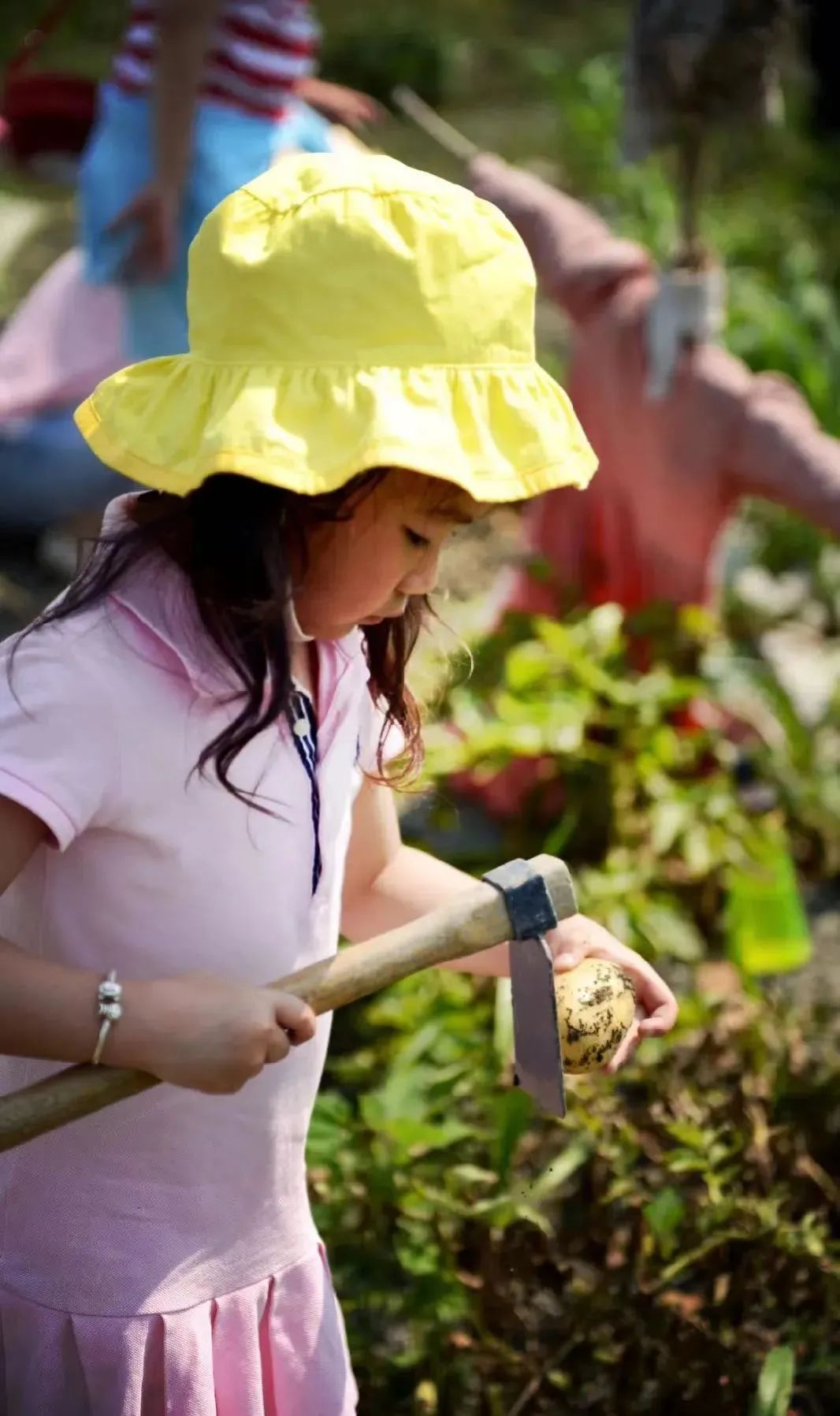 成都新津十大旅游景点有哪些,成都新津旅游攻略自由行攻略