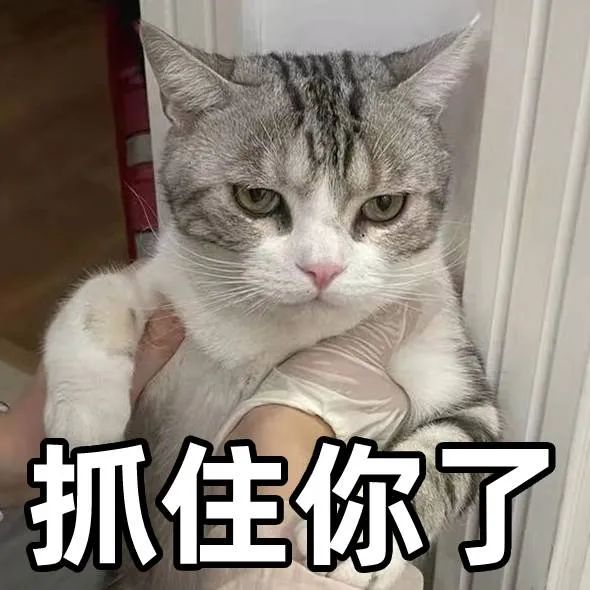 凌晨，广西警方突袭知名高档写字楼，103人被抓！含多名刚毕业的大学生……