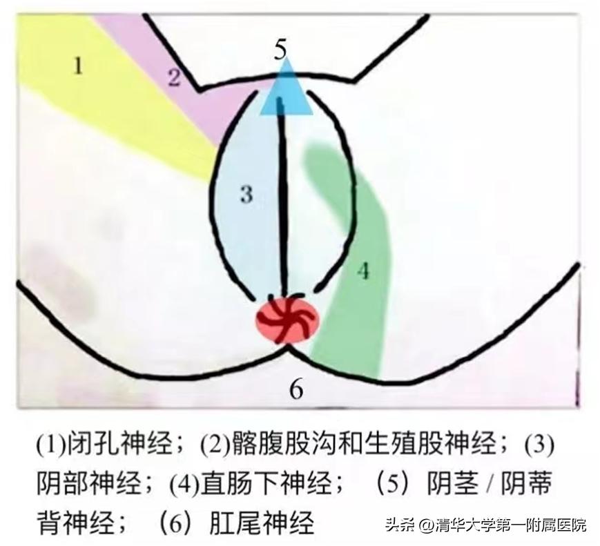 这里的疼痛“羞于启齿”？别担心，我们帮您！