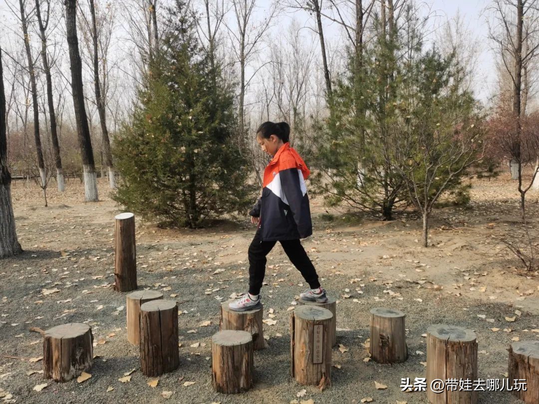 在森林公园里玩耍,中国可以骑行的森林公园