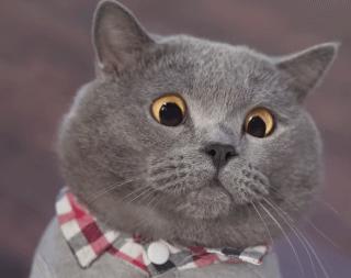 武汉干燥保湿护肤品推荐,武汉老字号护手霜