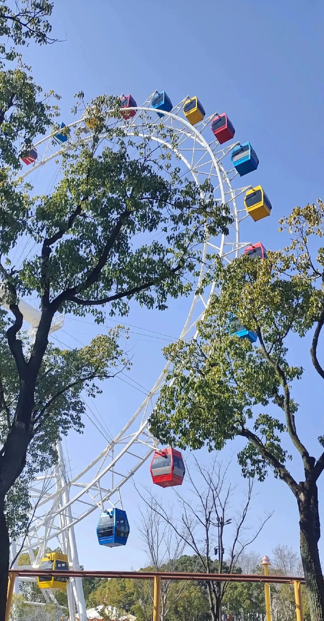 一月份去上海野生动物园和海洋馆,十一带大家去上海野生动物园玩