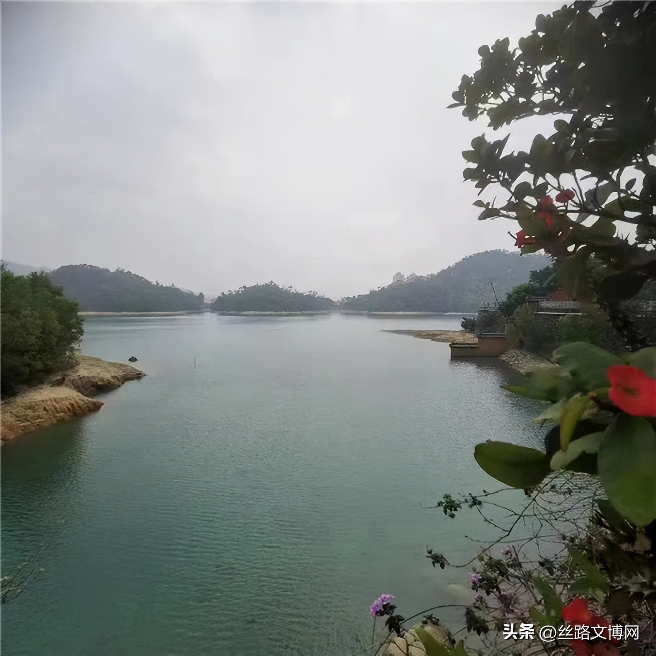 黄河名家‖诗咏魅力珠海