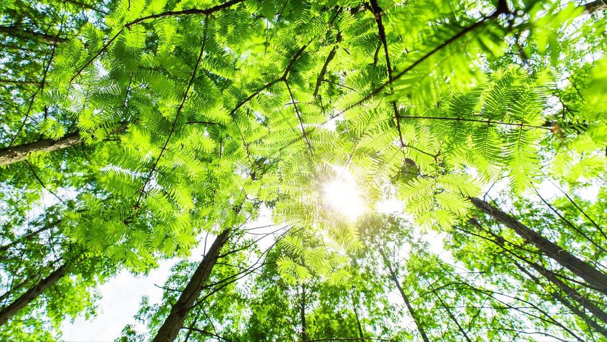 地球失去太阳该如何生存,太阳改变颜色