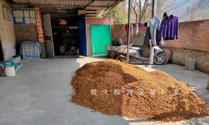 猪价低迷且跌多涨少？试试全自动酿酒设备做酒+养猪新模式