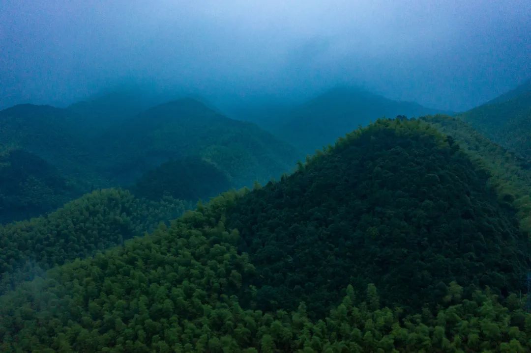 莫干山三天两晚绝美民宿,藏在莫干山的这家民宿真的美翻了