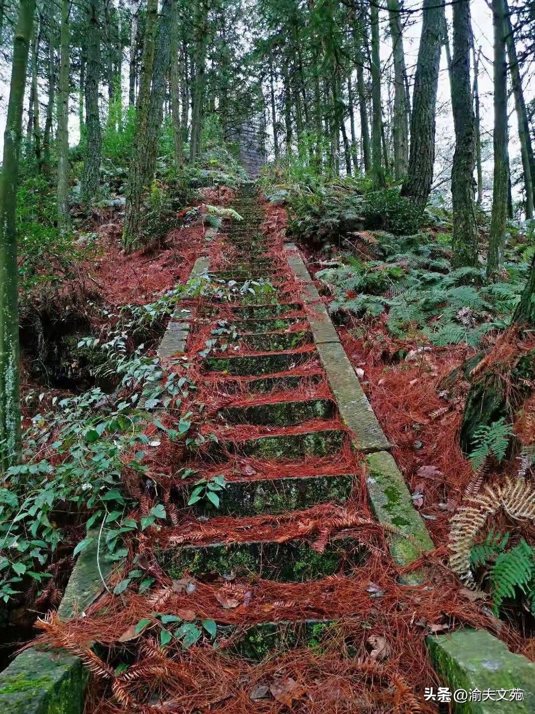 「日记里的军旅路」107:二叔的生日