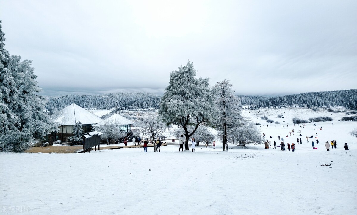 冬日武隆攻略，重庆武隆仙女山冬季二日游攻略-时间、门票及路线