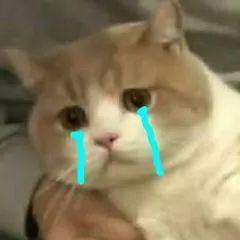 早c晚a是目前最强护肤方案吗,早c晚a是功效型产品吗