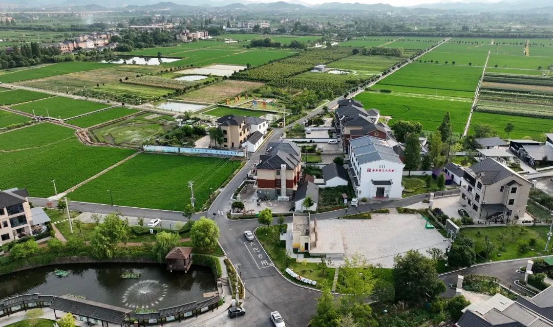 解析全国16个整村运营,解码全国16个整村运营经典案例