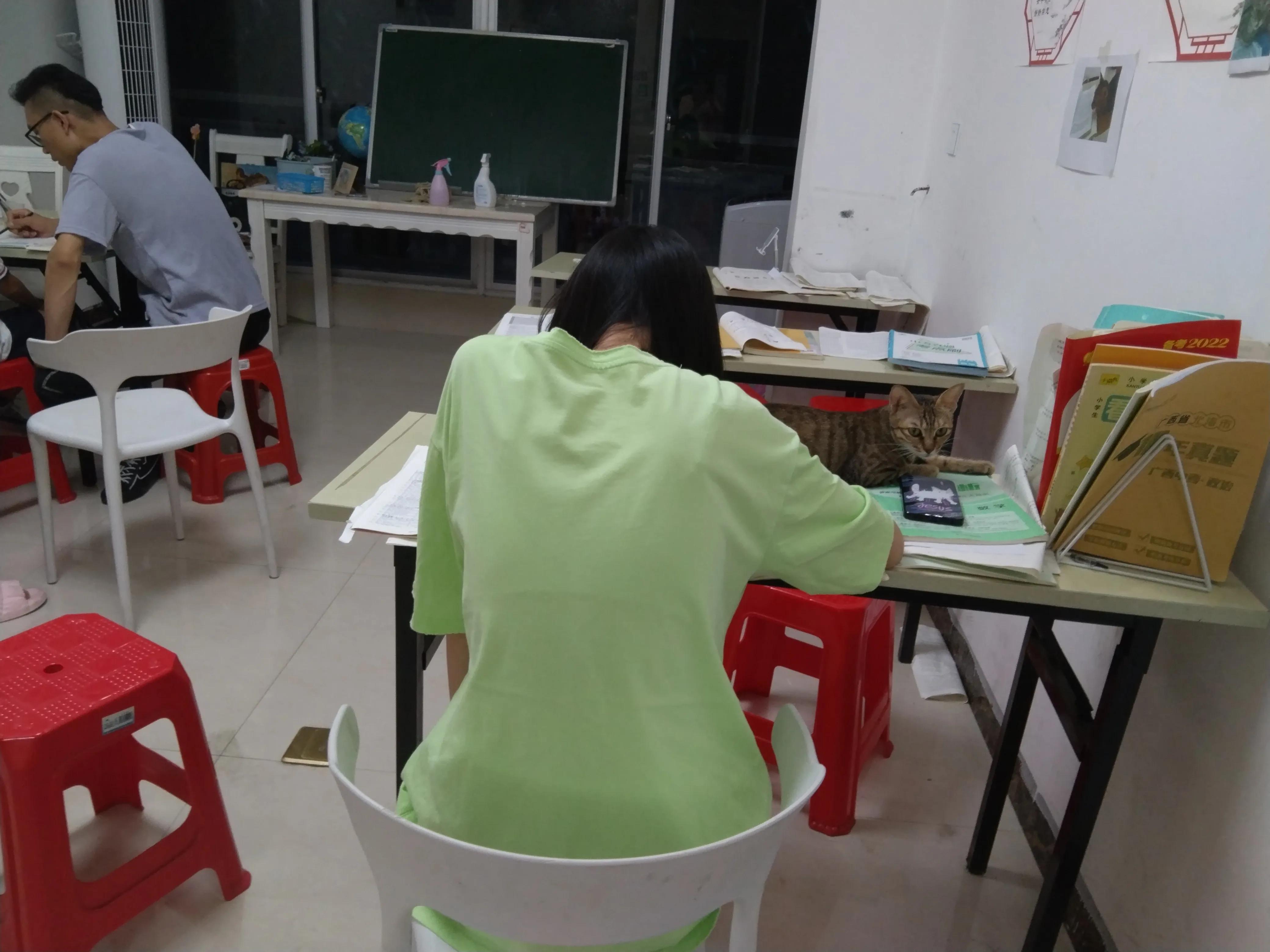 我26岁了应该做什么,我26岁了该做什么