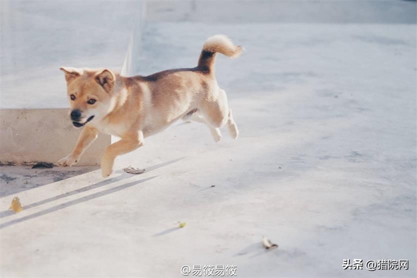 破旧老房田园生活,一家5口蜗居北京17平米改造后