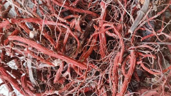 中国地理标志农产品品牌展播,洛阳十大农产品品牌排行榜