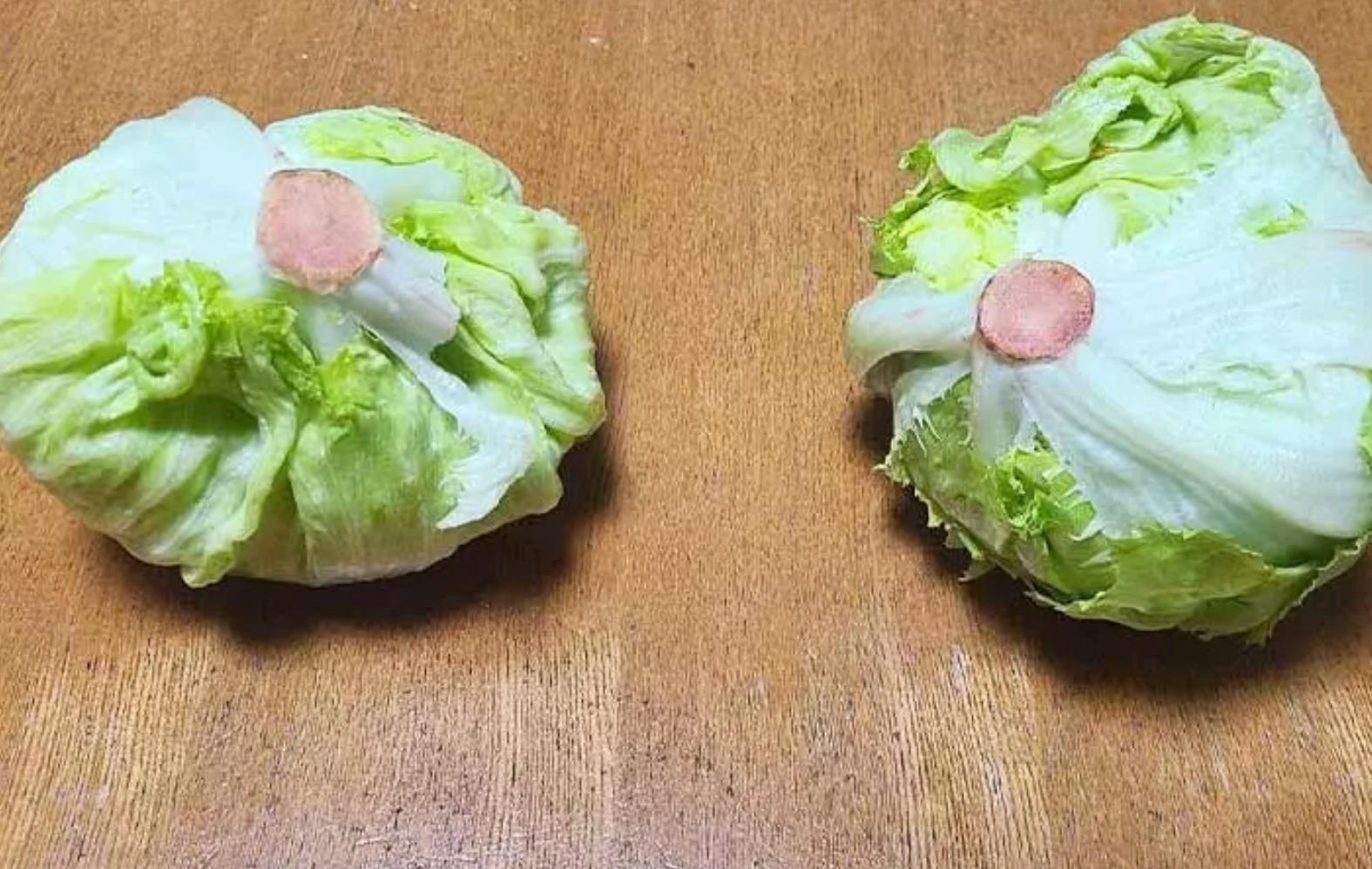 生菜怎么保存能保鲜时间长,生菜怎么保存放时间更长