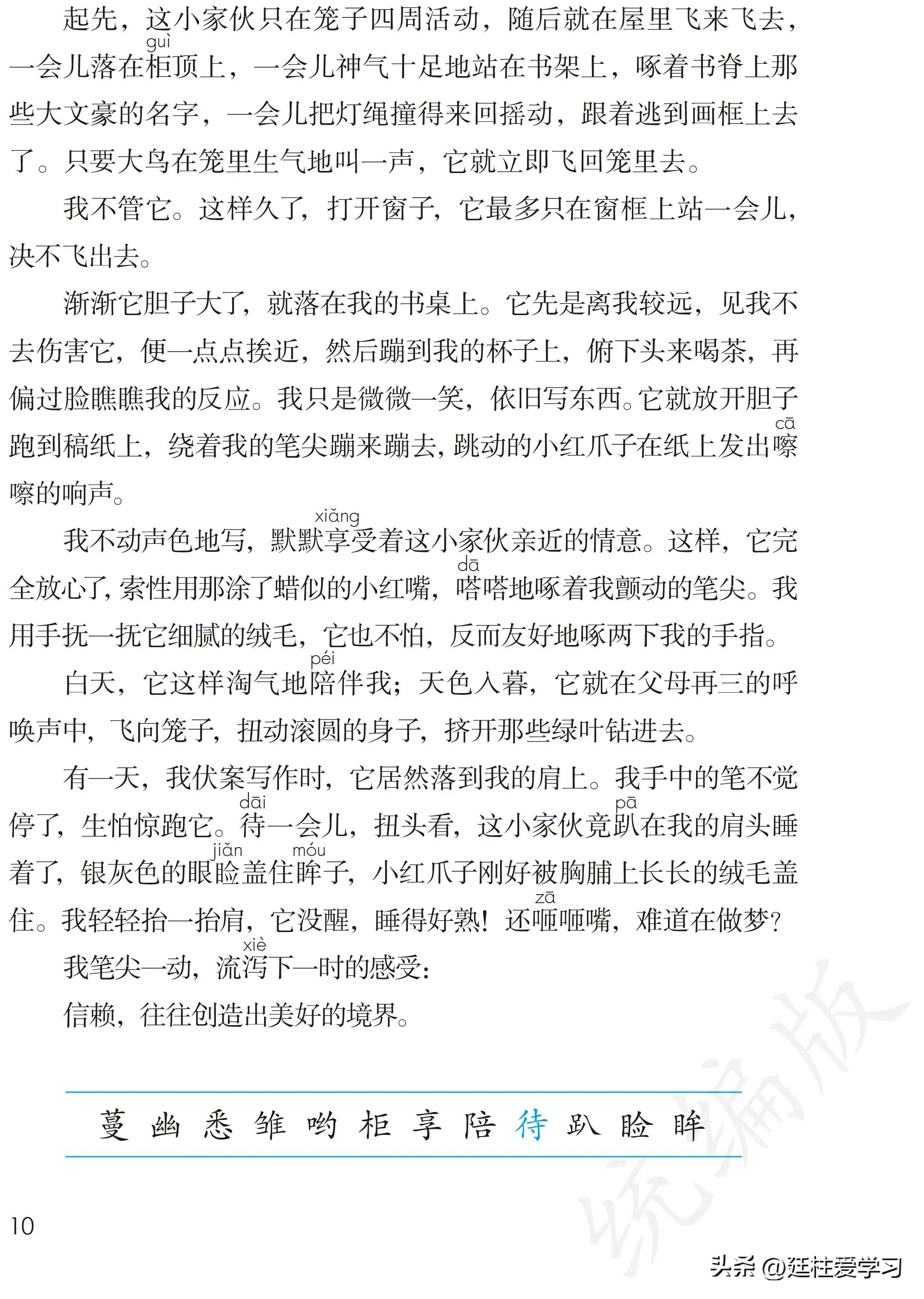 小学语文五年级上册22课,小学语文五年级上册知识点