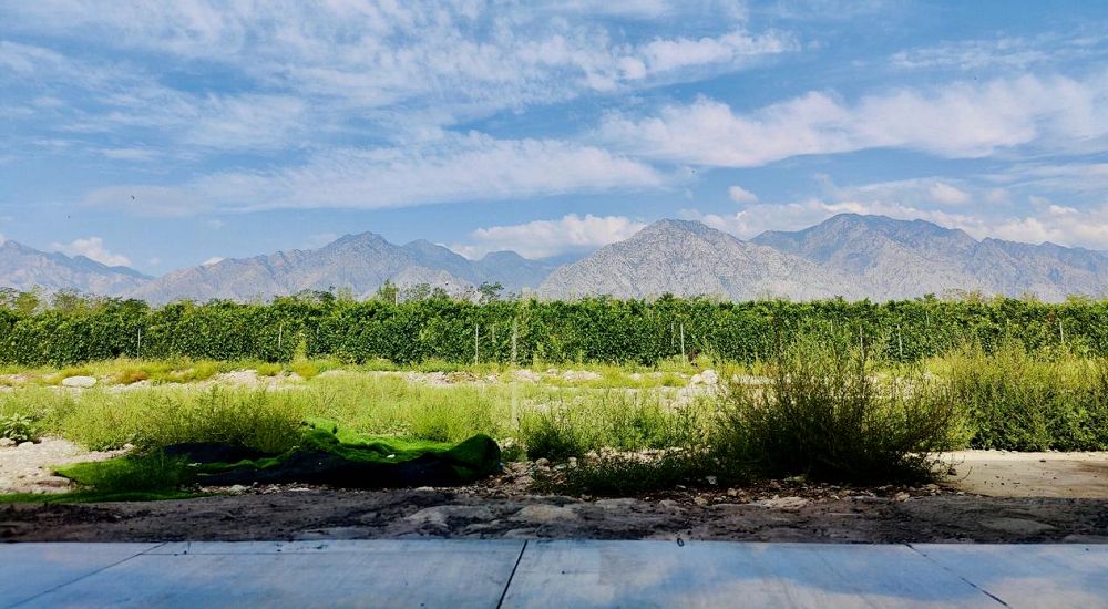 原来有这么多葡萄酒是“国家赞助”，不再是“没人在乎”