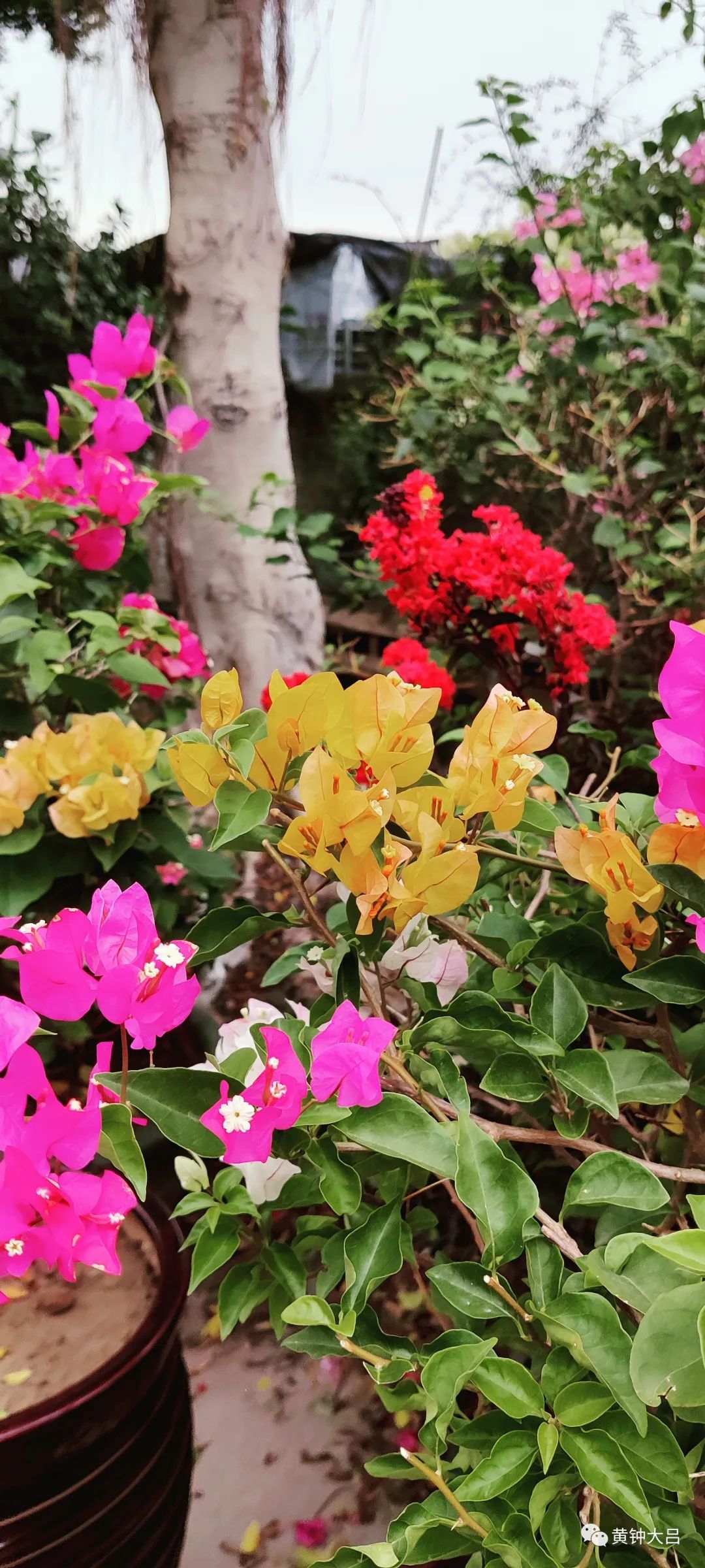 传统营销的变革之路,传统营销濒临死亡和转型