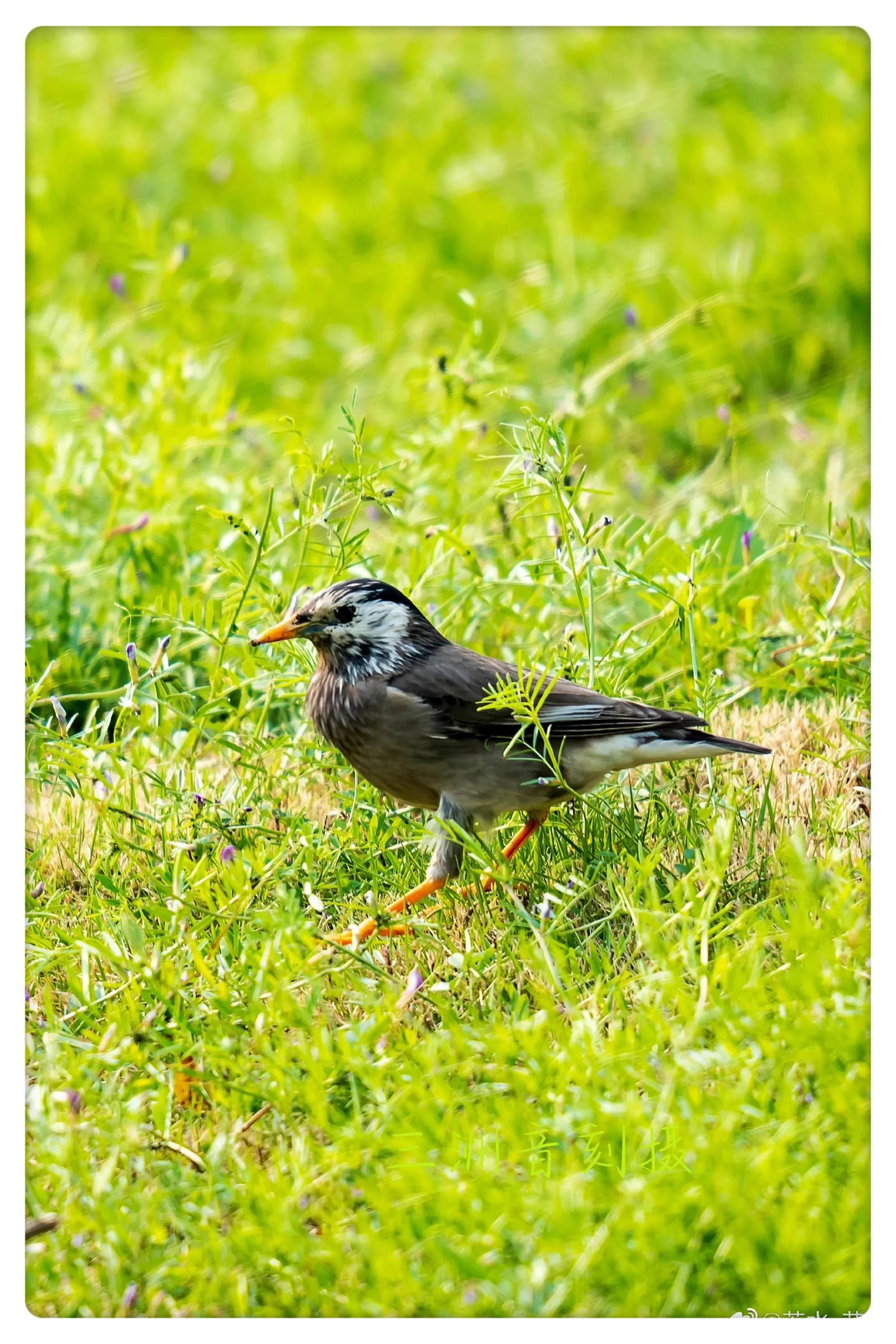 上海市嘉定区安亭国际汽车城,上海嘉定安亭国际汽车城