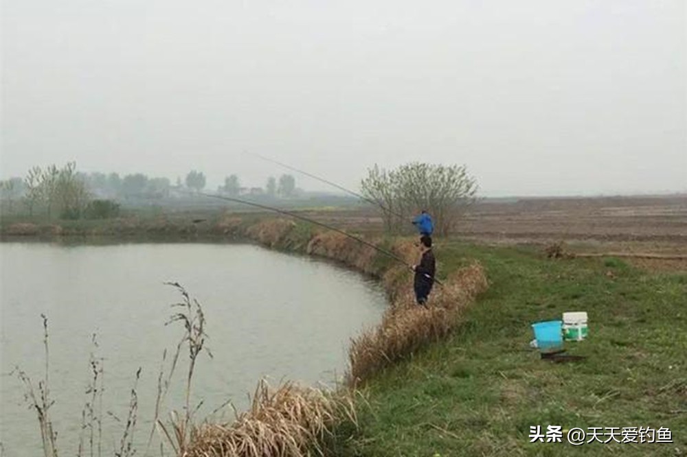 什么天气鱼比较活跃好钓,夏季什么风向鱼最难钓