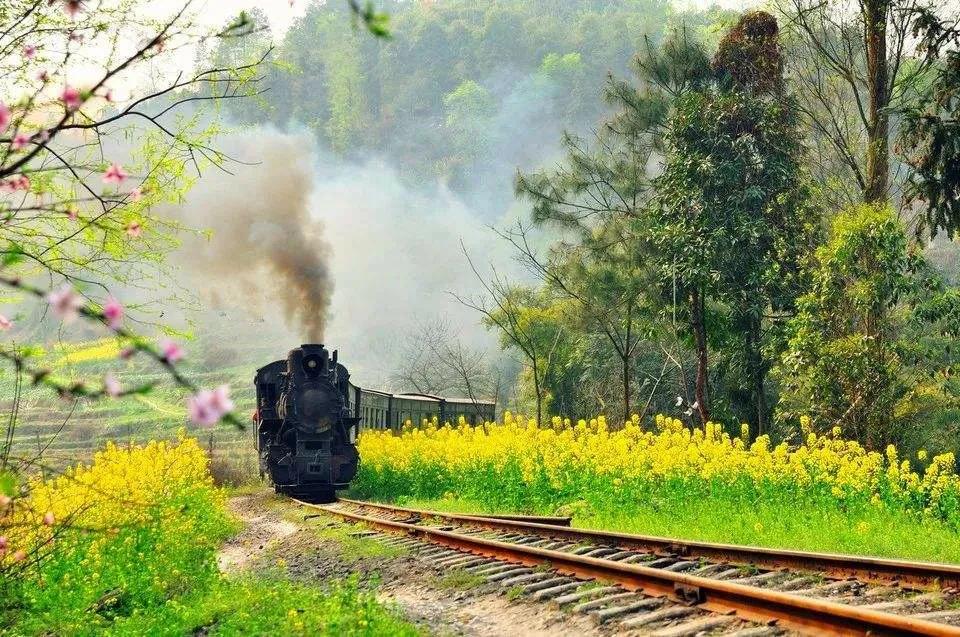 闅忕瑪鐏溅涓婄殑闅忔兂,闅忕瑪缁跨毊鐏溅