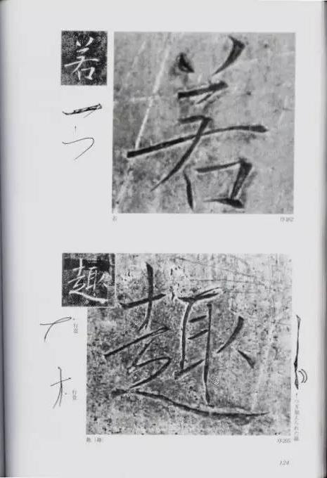 宸ョ瑪鐢绘潹鏅箟鐢诲唽,鏉滈箖鏉ㄦ櫘涔夊畬鏁寸増