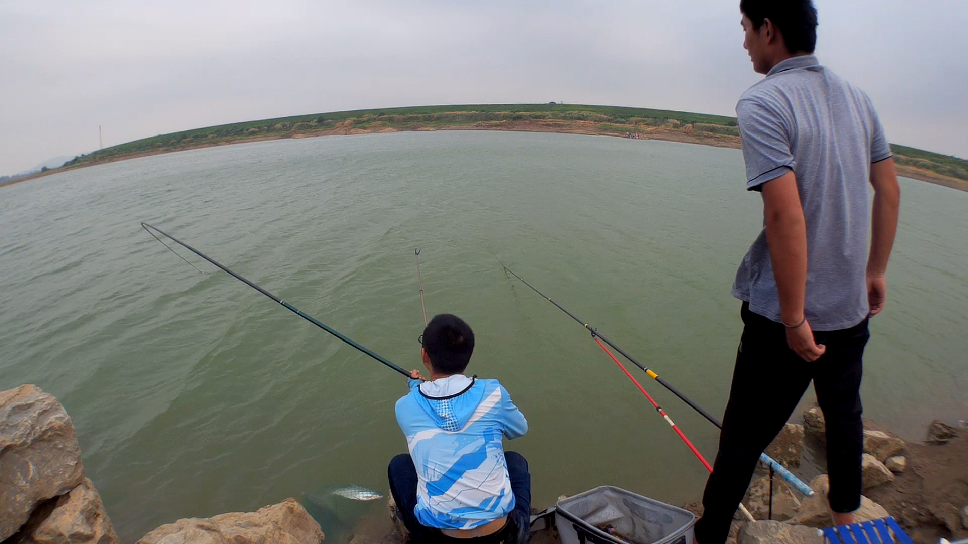 草鱼密度小怎么诱鱼,草鱼习性的解读及钓法技巧