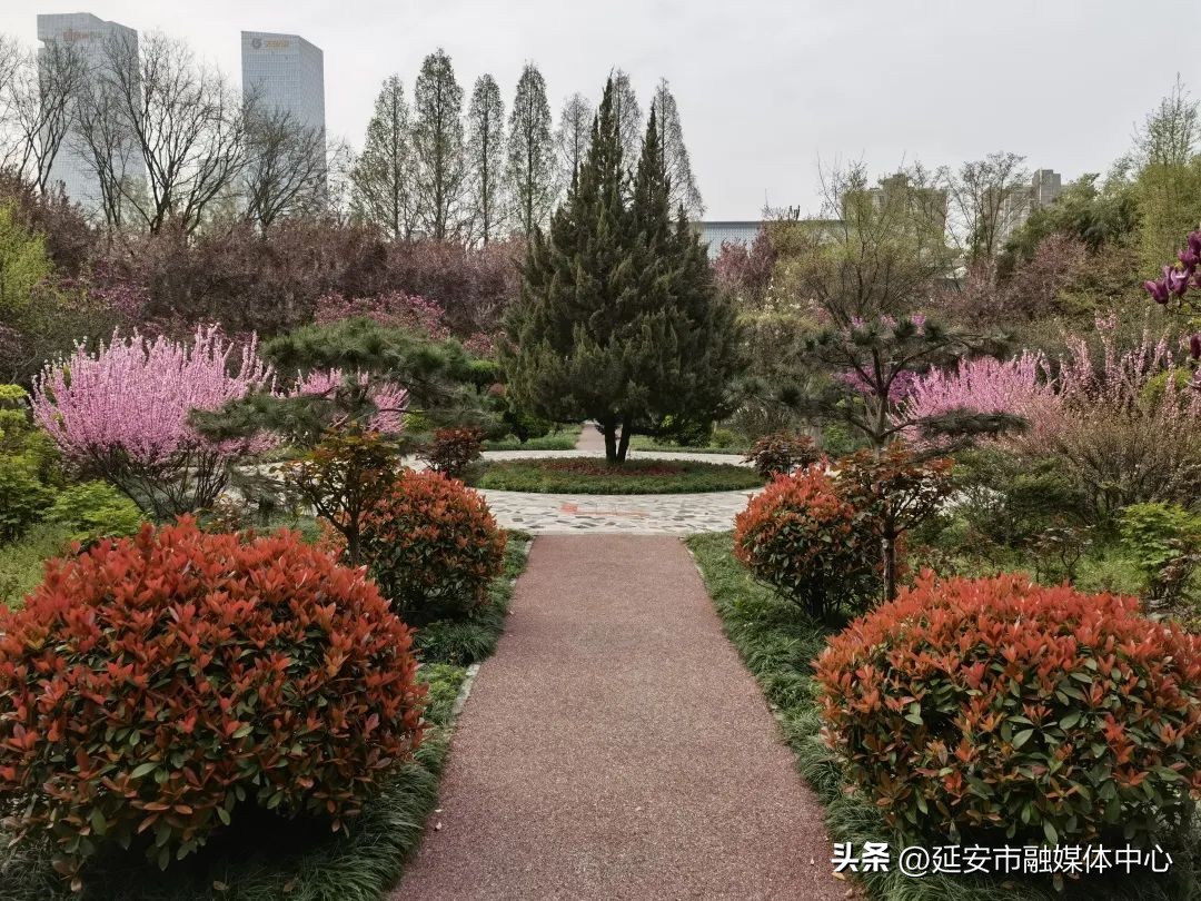陕西宾馆迎来最佳观花赏景季节,陕西宾馆内景色