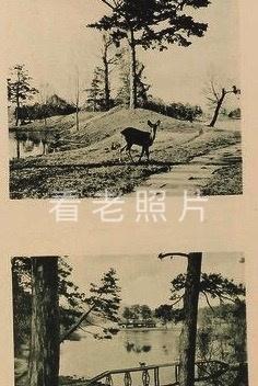 女子身着日本侵华军装露脸,日军女子拍照