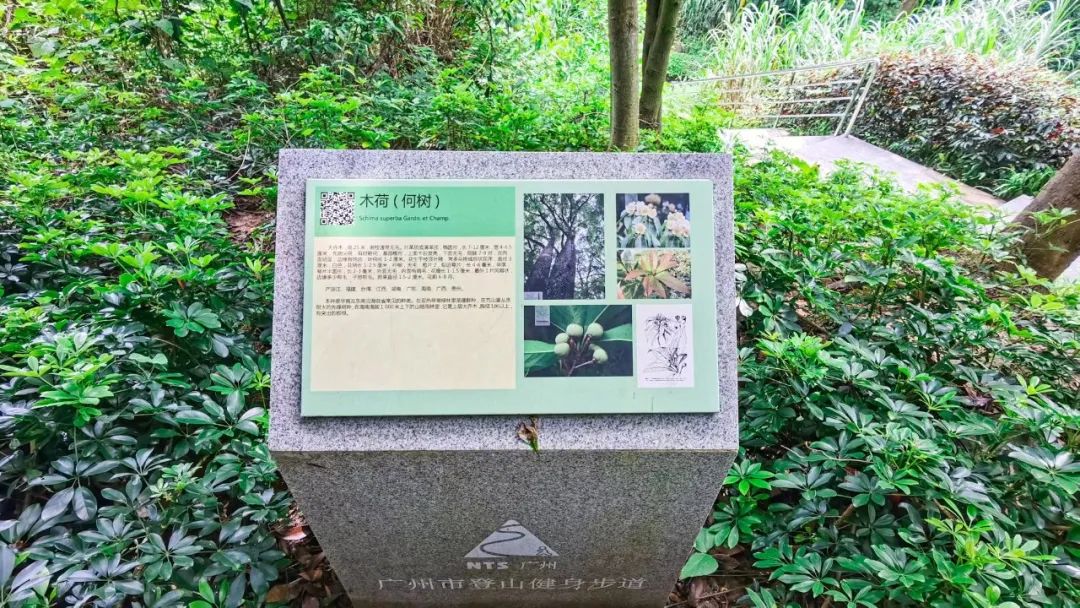 火炉山徒步登山路线图解,徒步中山铁炉山