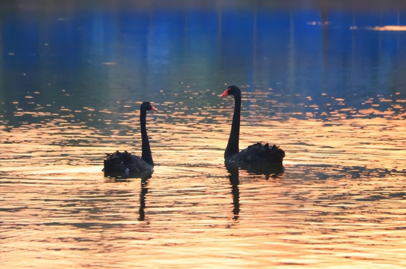 南华大学建校目标,南华大学新校区怎么去
