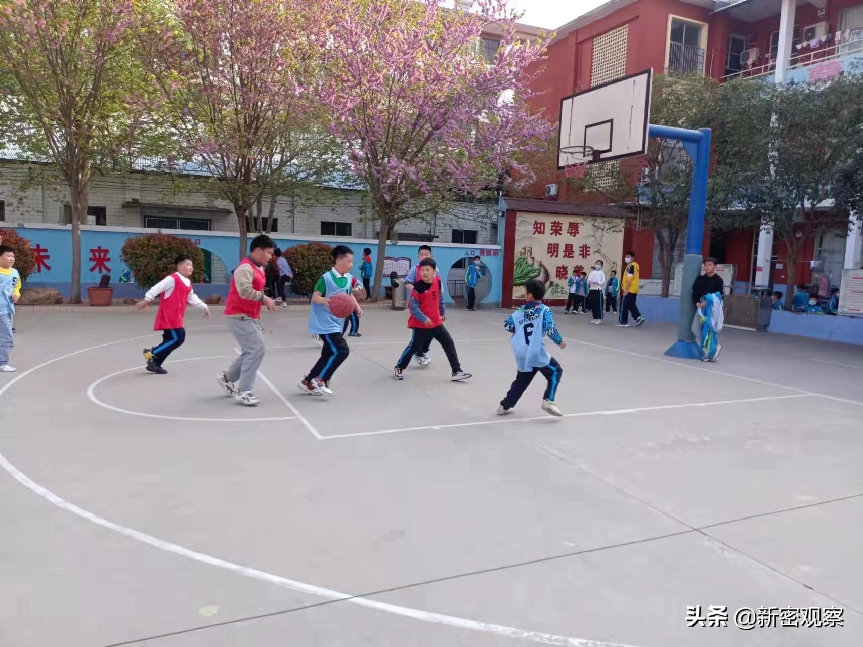 第二十二届校长杯篮球赛,新密外国语学校2018篮球