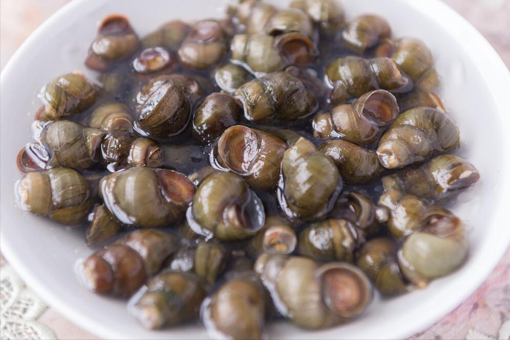 田螺要吃什么样的好,田螺要先清洗还是先去尾