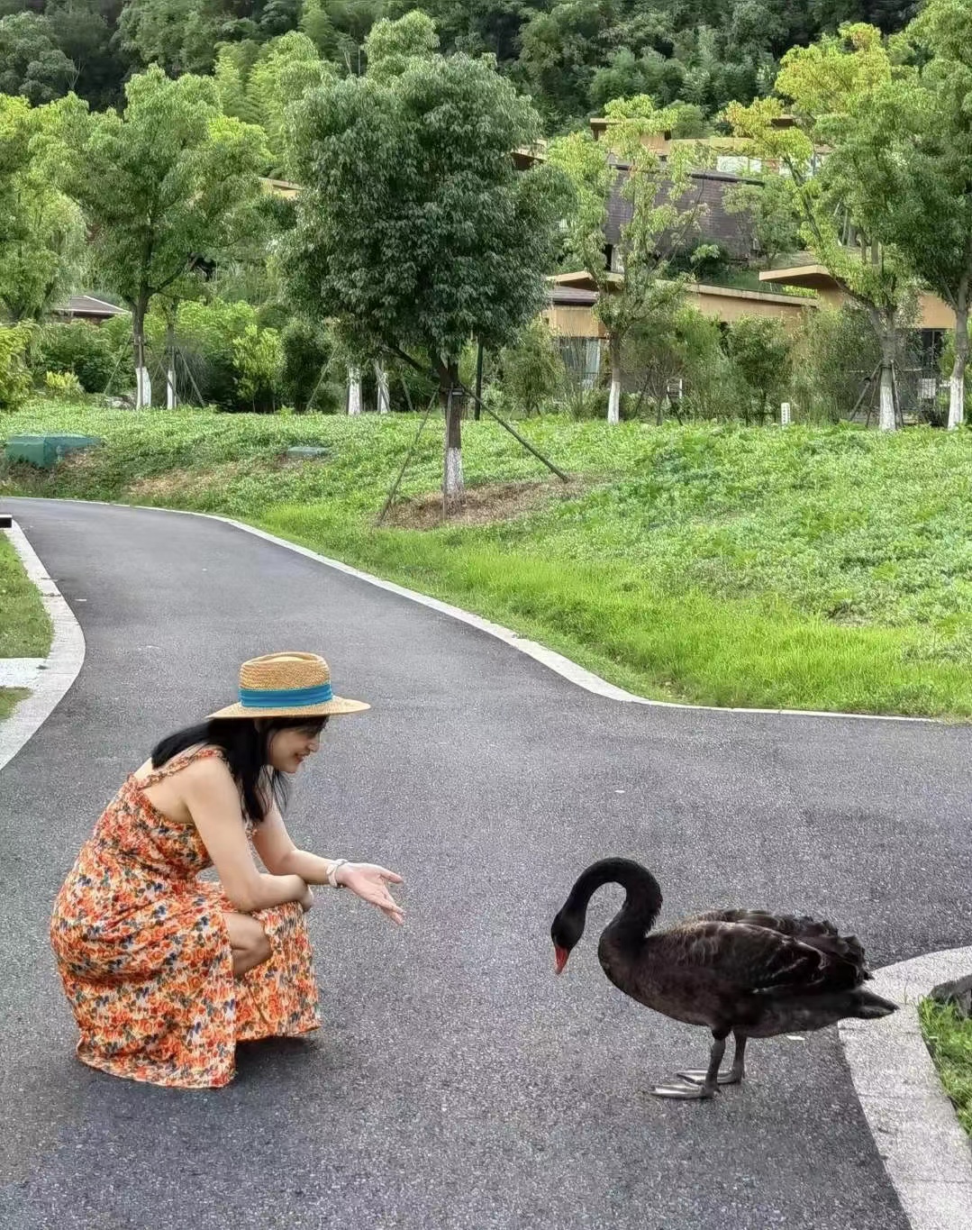 莫干山开元森泊和莫干山森泊,莫干山开元森泊2天一夜攻略