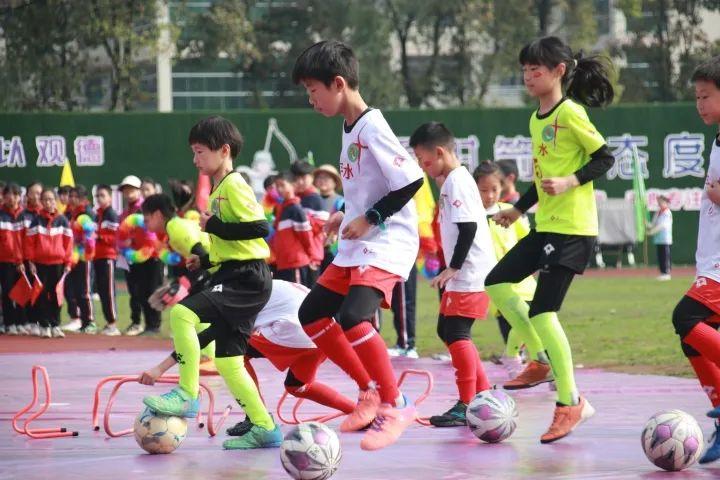 好玩的纸飞机体育公开课,纸飞机体育游戏玩法