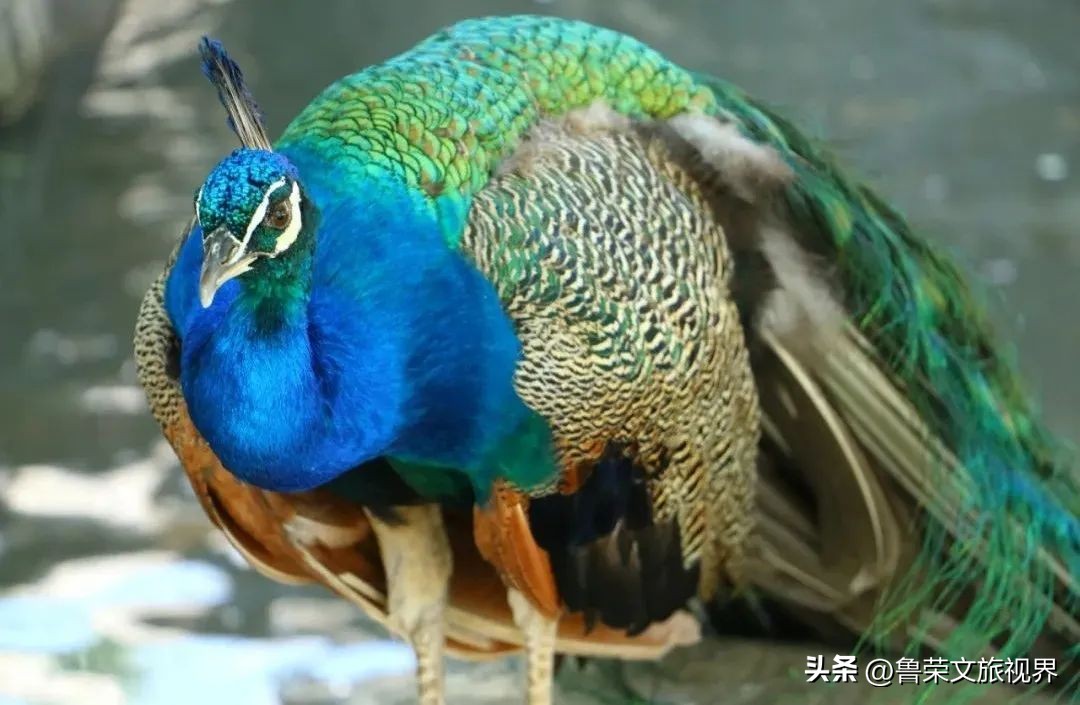 西安旅游攻略大全坐地铁,西安地铁旅游攻略三日游