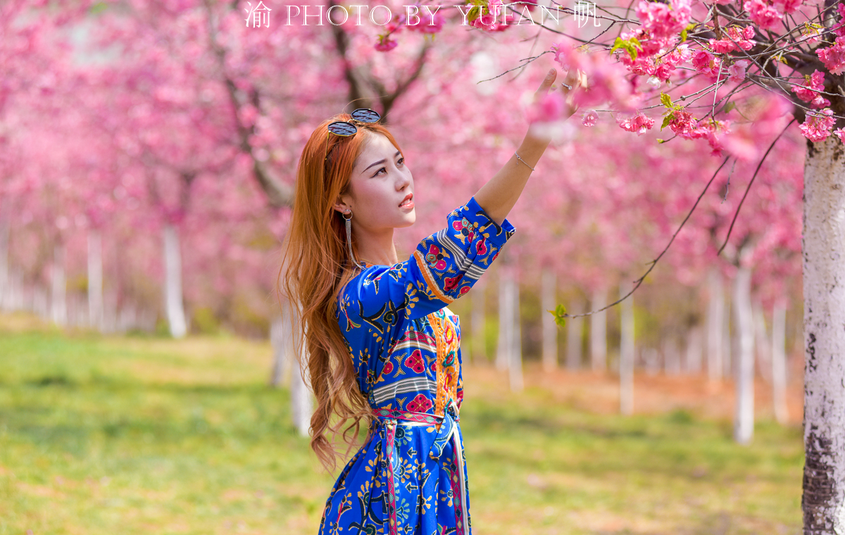 潼南油菜花旅游攻略,美好春日潼南赏花地图快来get