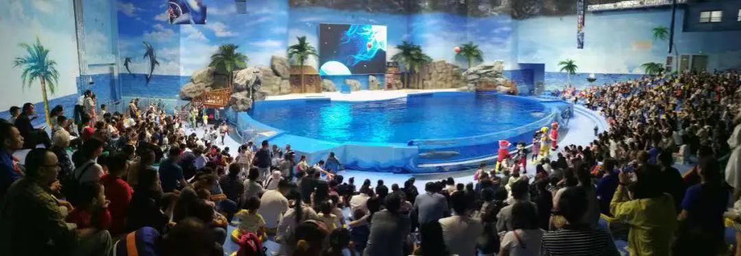 好戏连台旅游攻略,好戏连台靓丽的风景线