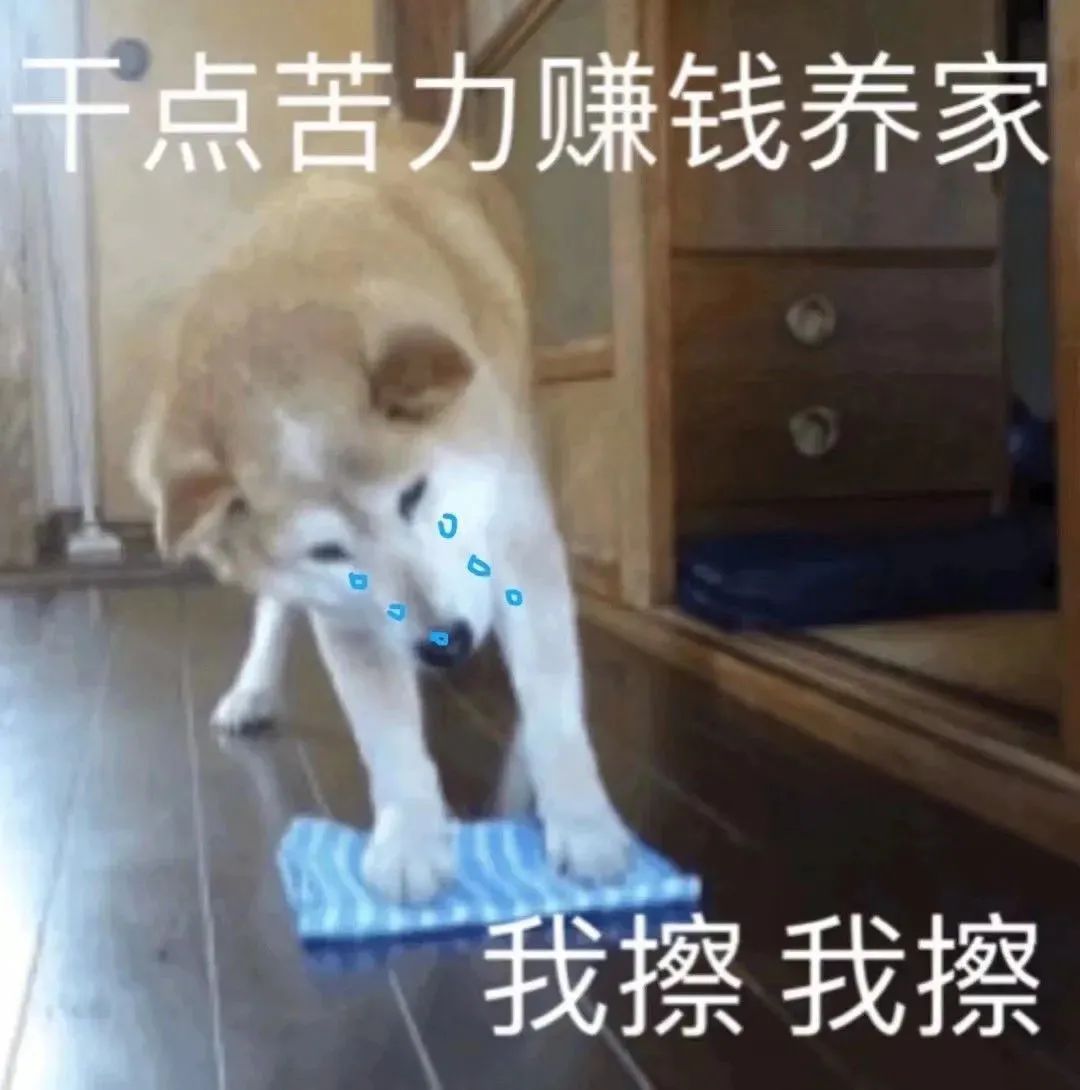 出租车司机锐评峰子招嫖