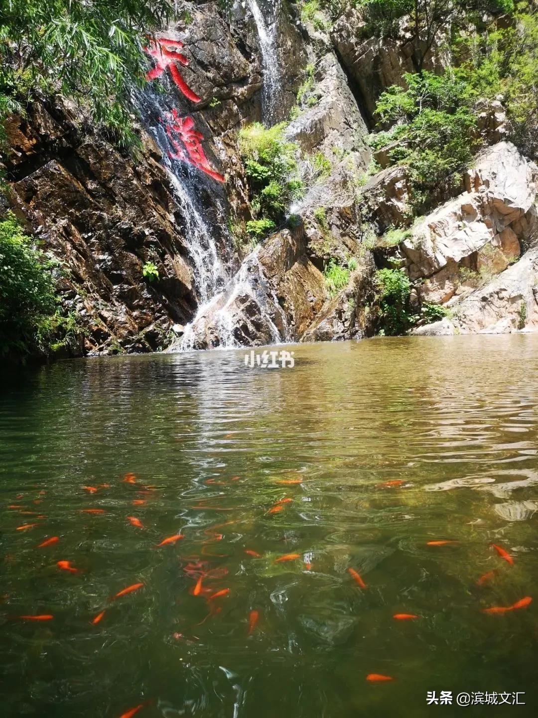 你好，我叫天津，这是我2022年的最新简历