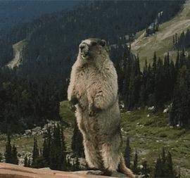 生气引起心梗的十种疾病,心梗猝死跟心情生气激动有关系吗