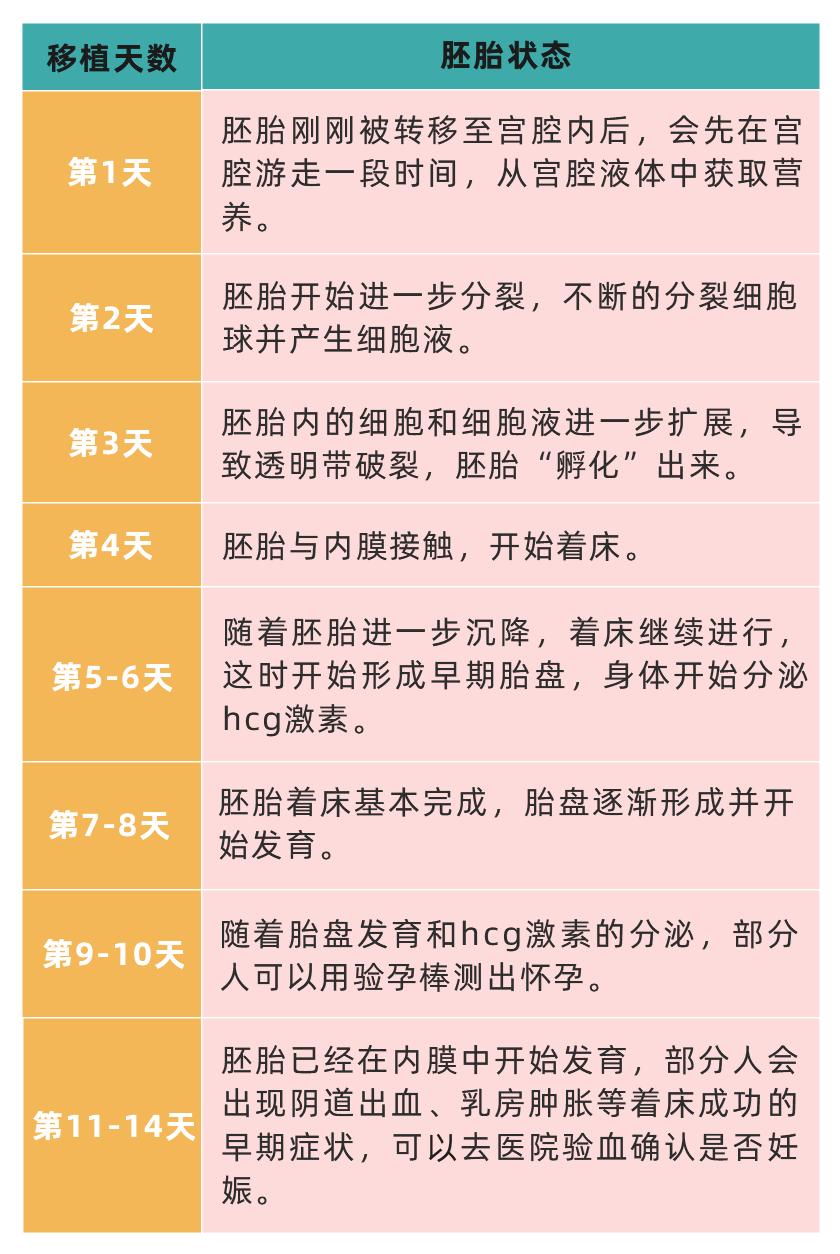 D3和D5的胚胎，移植后分别是什么时候开始着床？