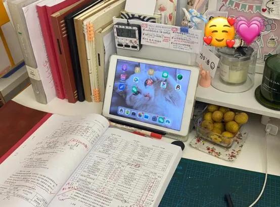 准备省考的书可以准备国考吗,省考最好用什么书