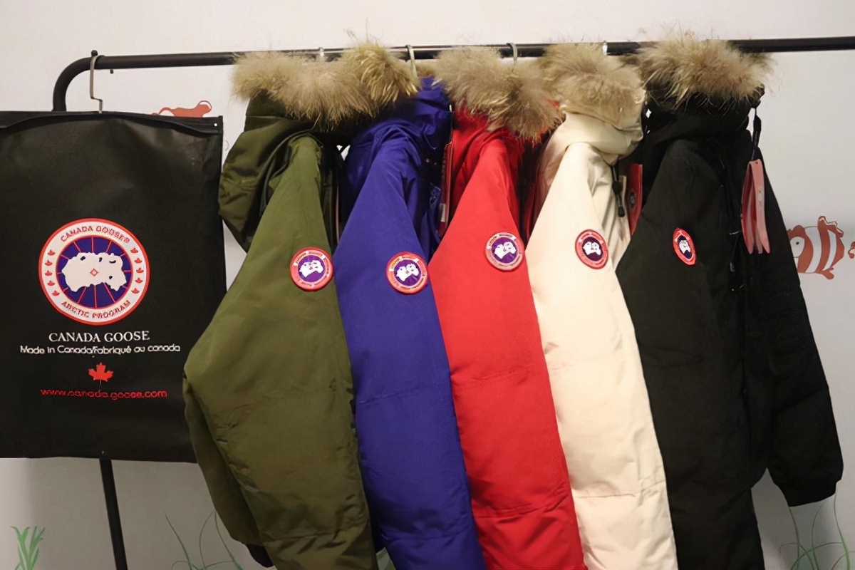 加拿大鹅如今门店最新现状,加拿大鹅在中国的现状