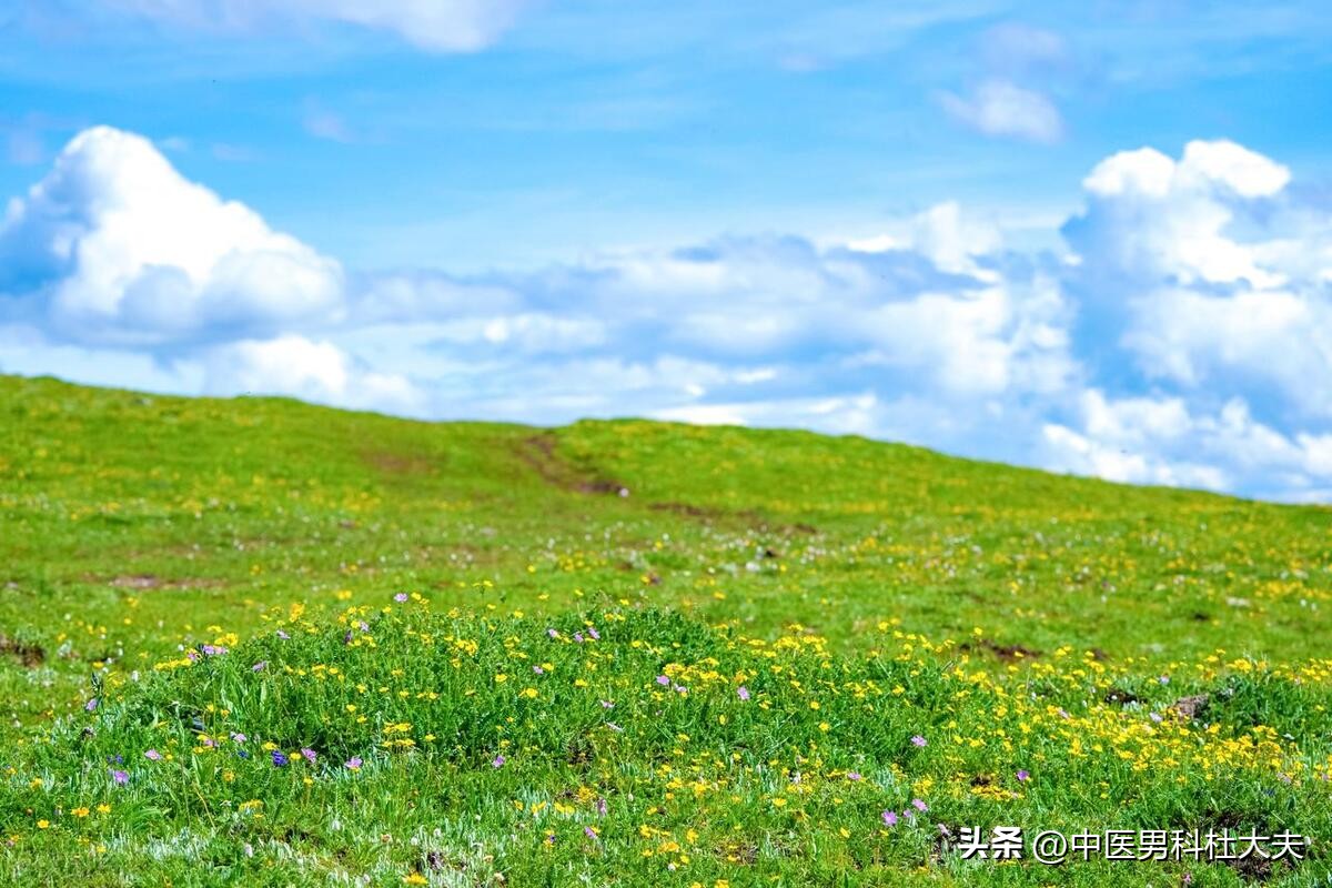 精伤气耗气血亏虚怎么办,肾精损耗过度如何补救