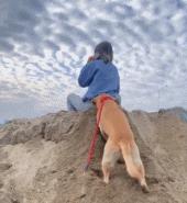 开幼儿园负债累累,开幼儿园有倒闭的现象吗