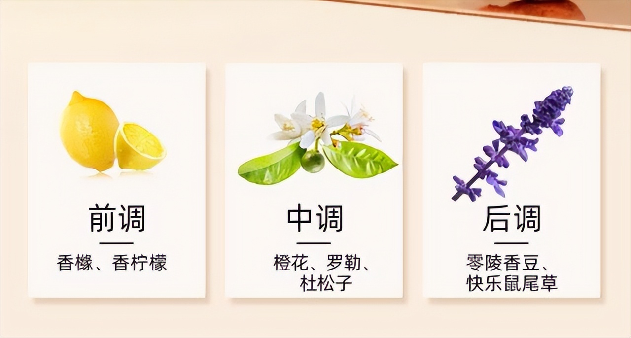 女生最基本的化妆都需要用什么,化妆需要哪些必备物品