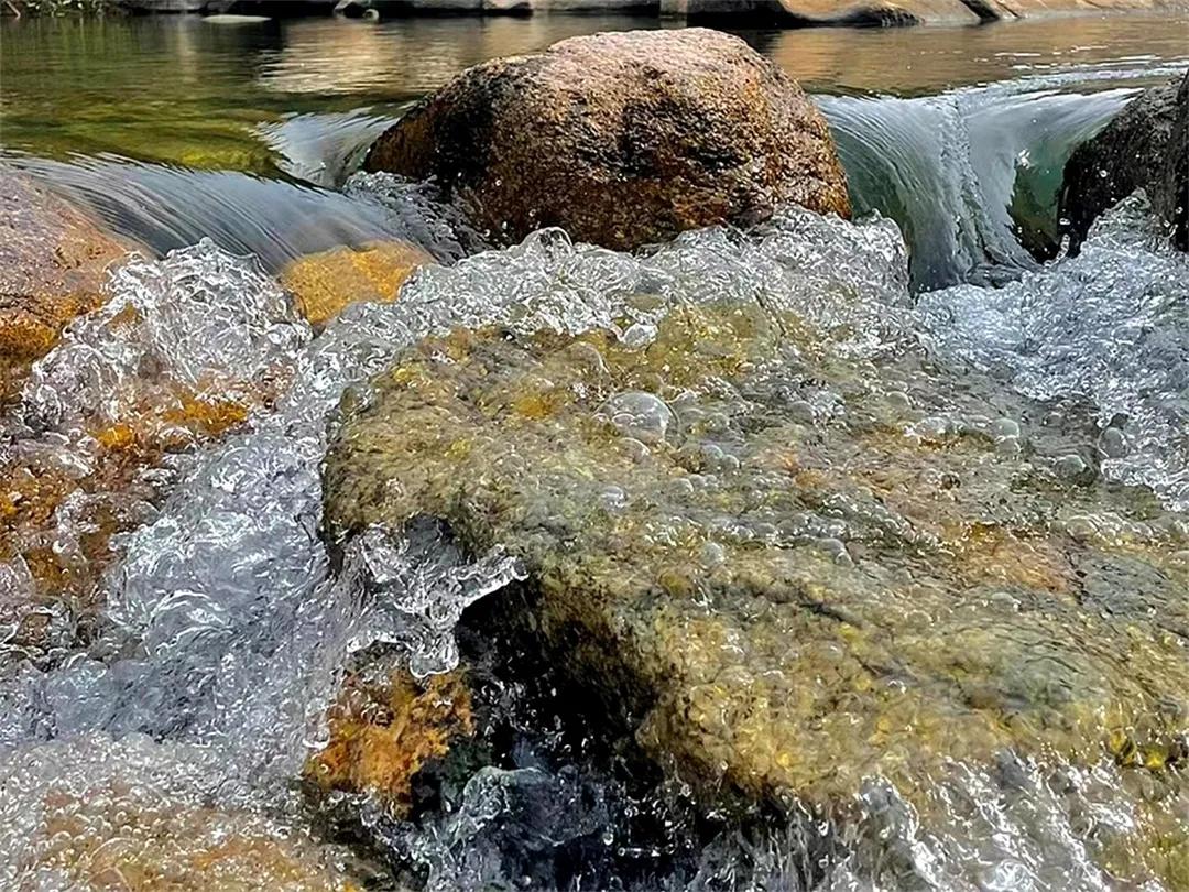 从化草埔村荷花游记,从化小杉村游玩攻略油菜花