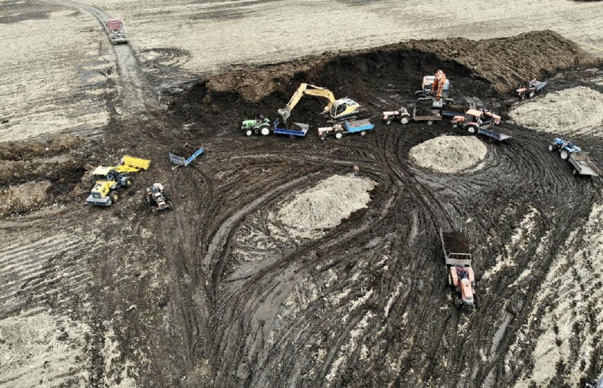 东北黑土地耕地中的大熊猫,东北黑土地保护大熊猫