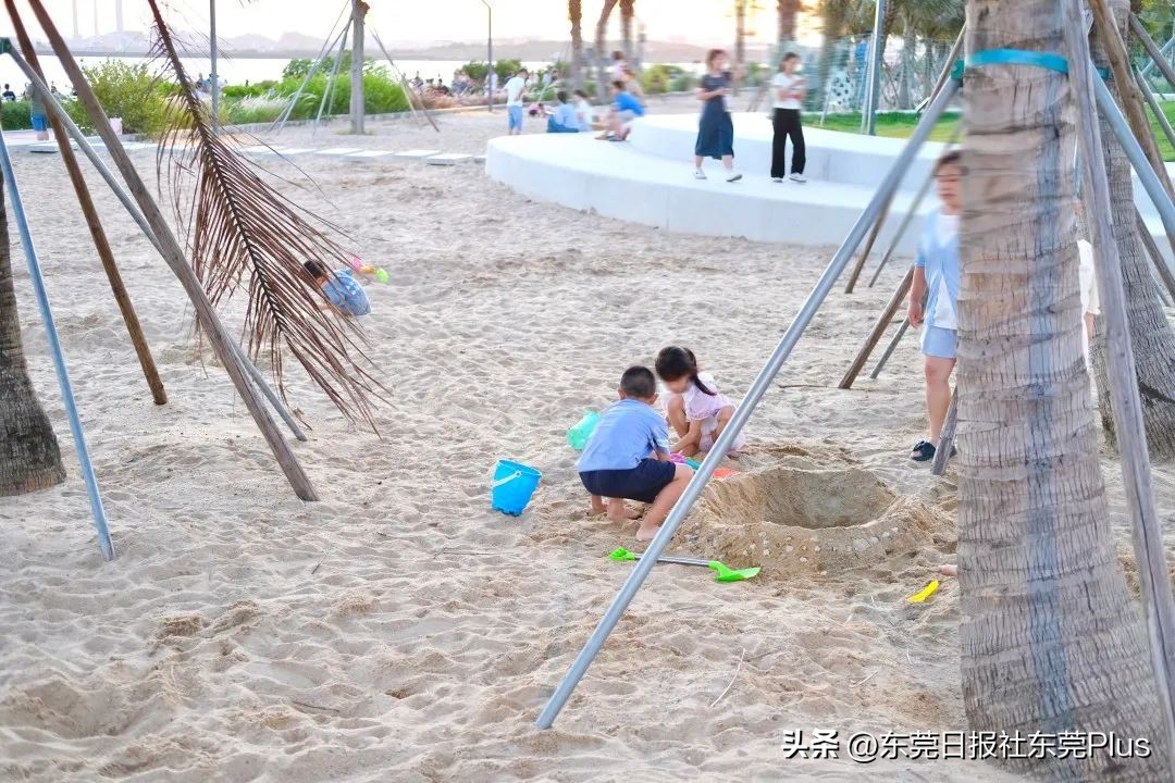 东莞可以看海和赏花的公园,东莞国庆看海游玩推荐
