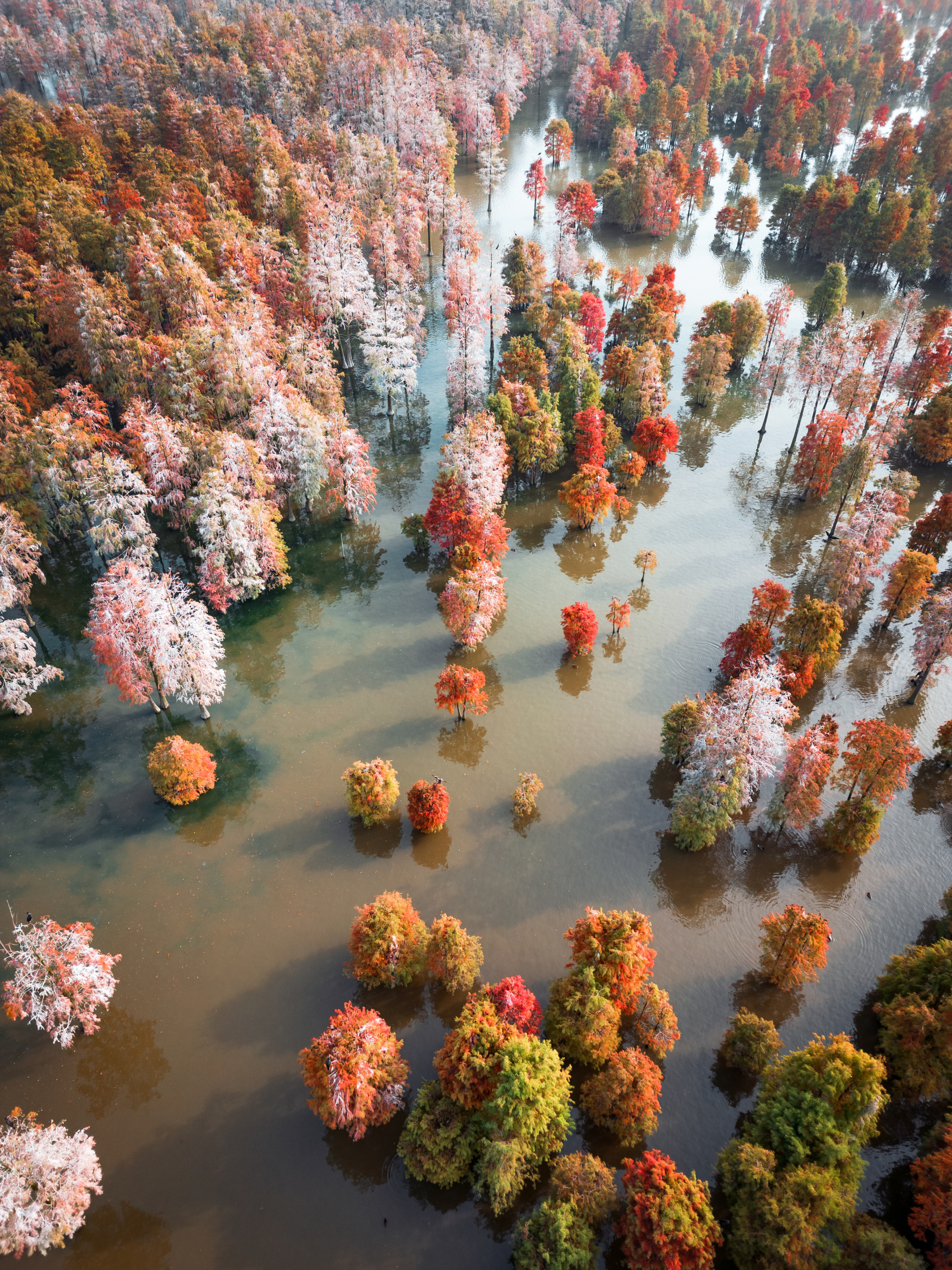 苏浙皖赣的旅游景点有多少,苏皖旅游景点推荐